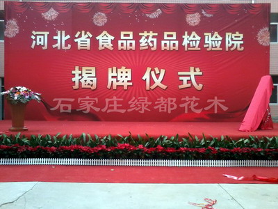 河北省食品药品检验院揭牌仪式